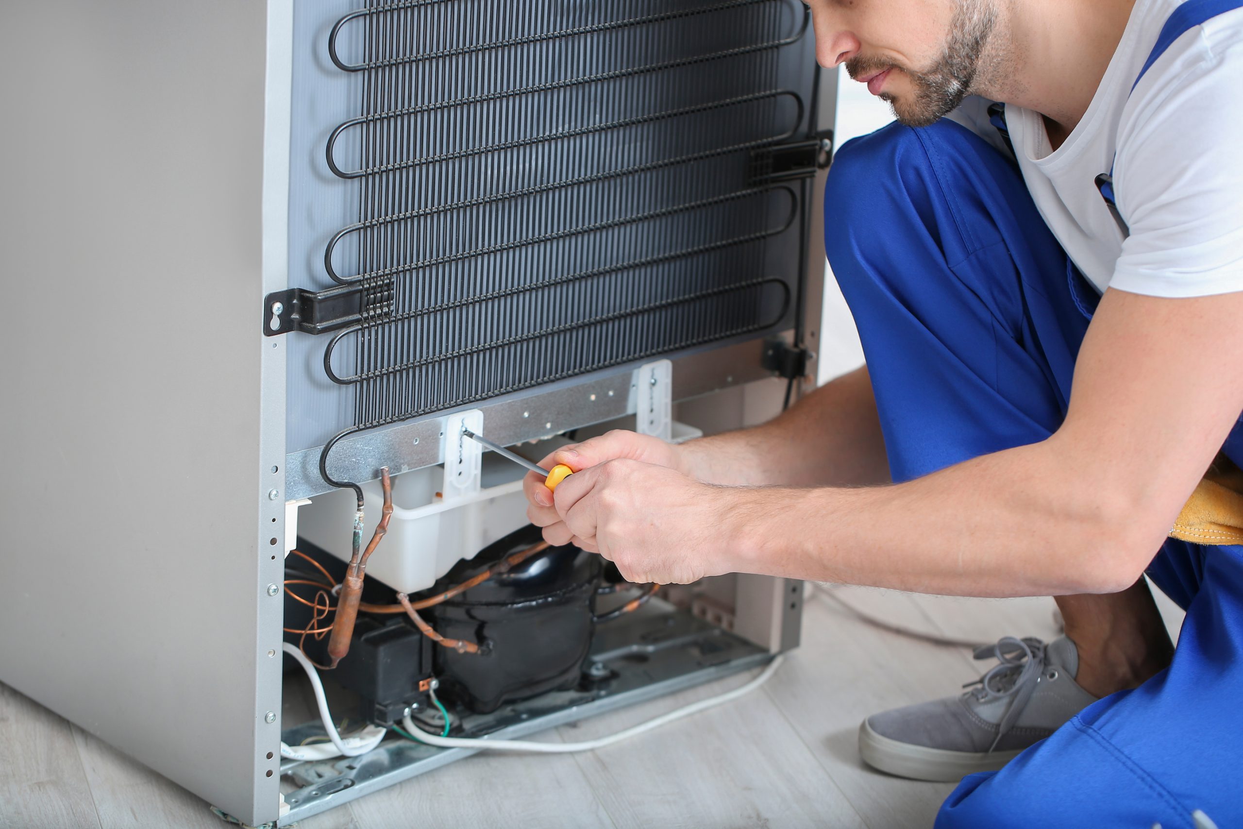 Marine Refrigeration Services